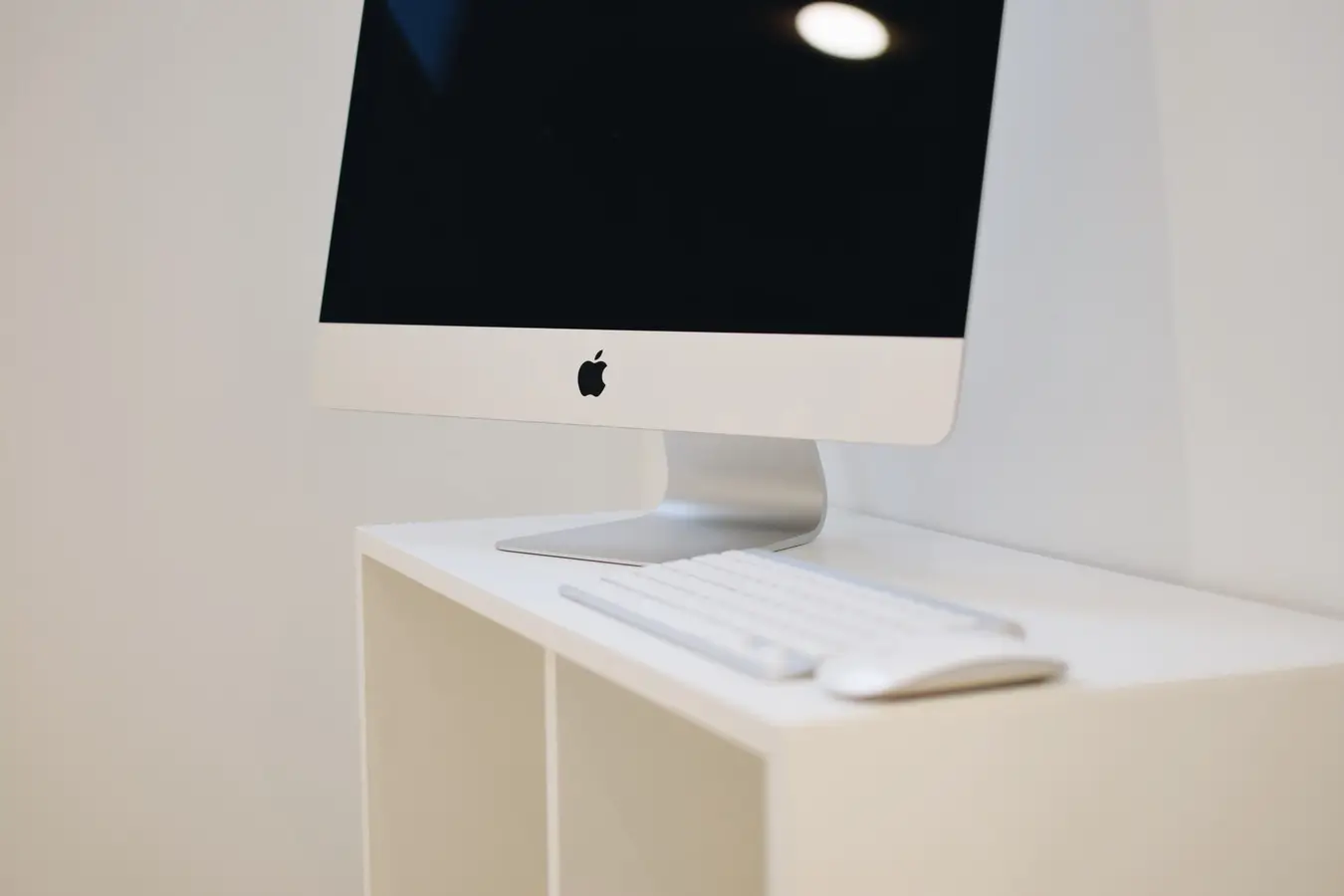 Reforma Alonso Quintero 15